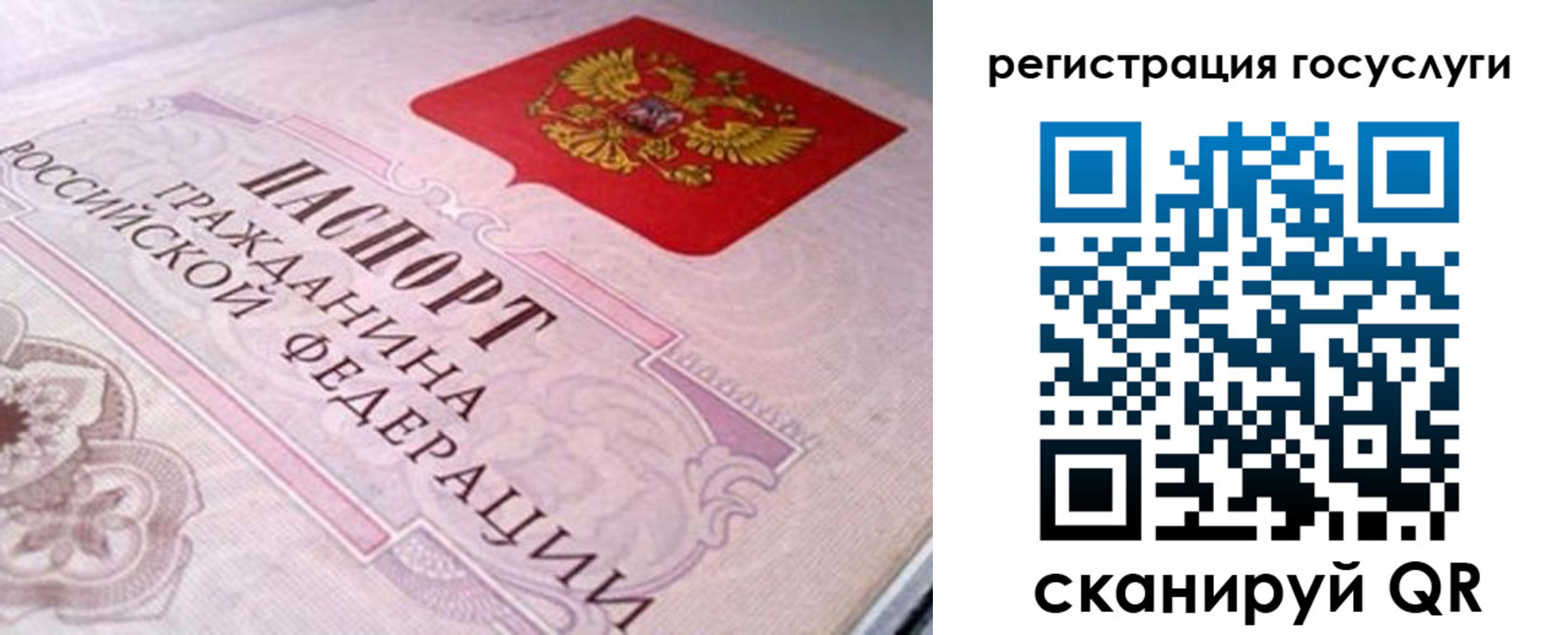 где прописаться в Петушках